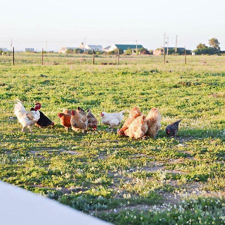 לאנגבאן Aintree Farm Cottage מראה חיצוני תמונה