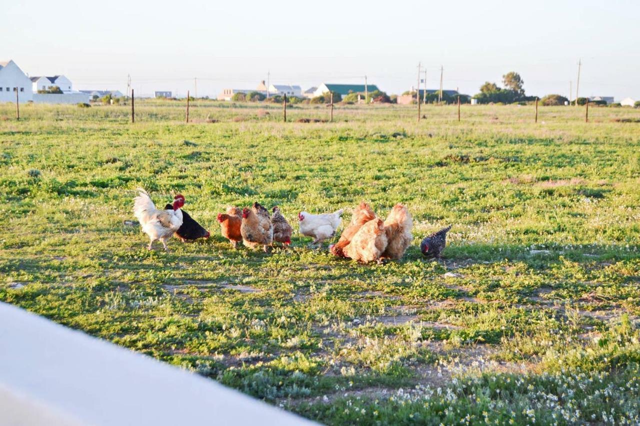 לאנגבאן Aintree Farm Cottage מראה חיצוני תמונה